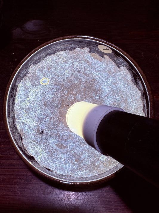 【Michael Pick】08.25(evening)