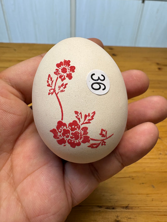 【Michael Pick】09.09