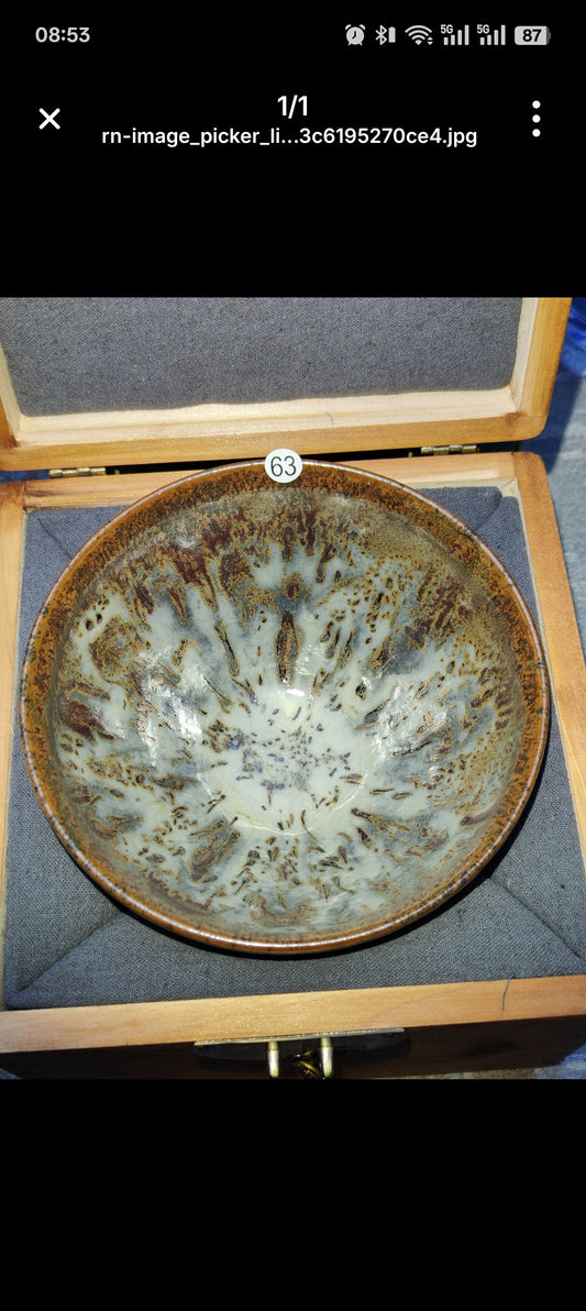 Anna For noga Master Lin