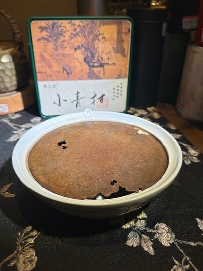 【Michael Pick】04.19 teashop