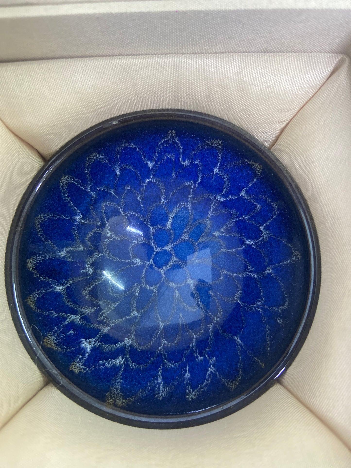 【Seven Jian Zhan 】teacup - 3.22