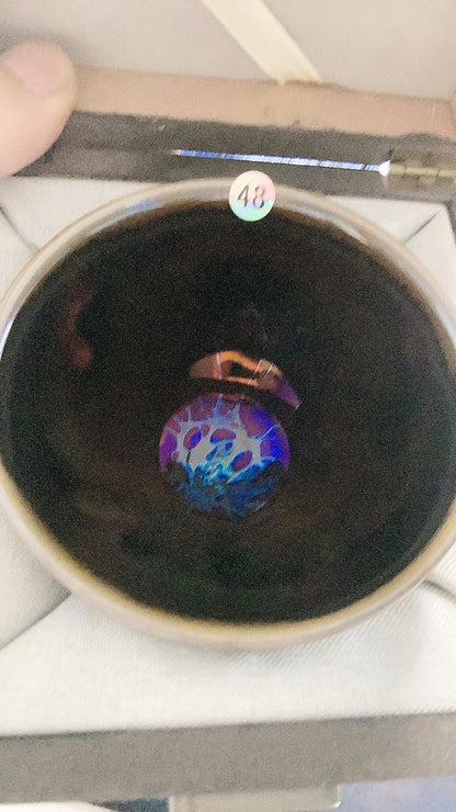 2026331